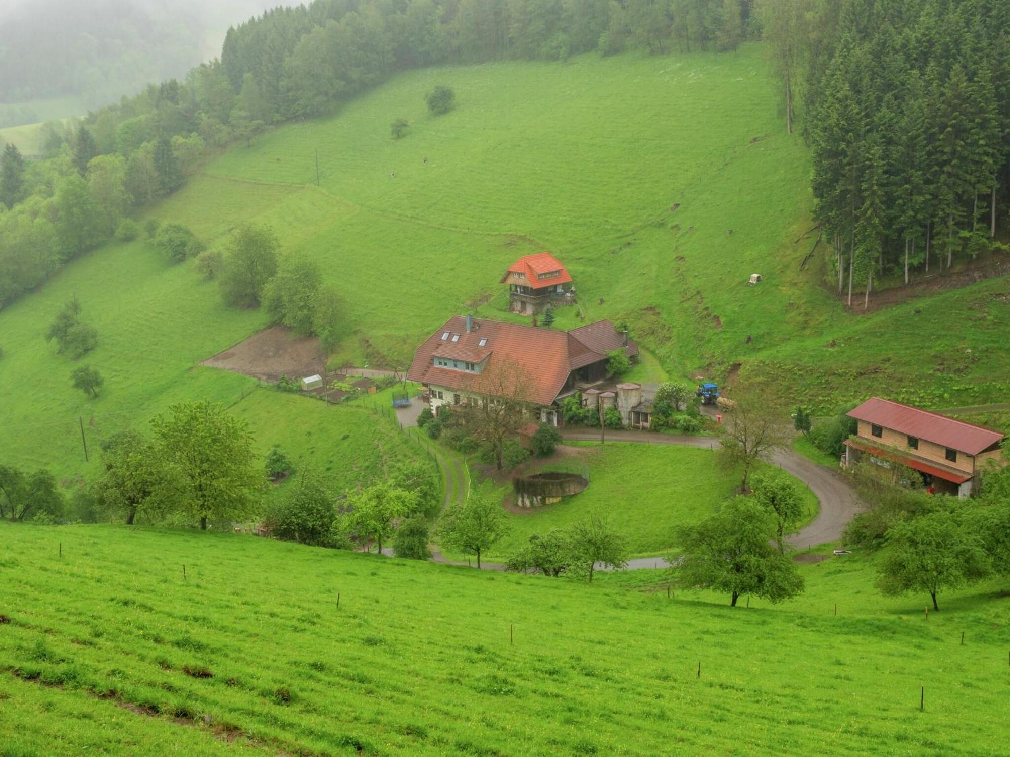 Cosy Farmhouse Apartment At The Edge Of The Forest Mühlenbach Zewnętrze zdjęcie