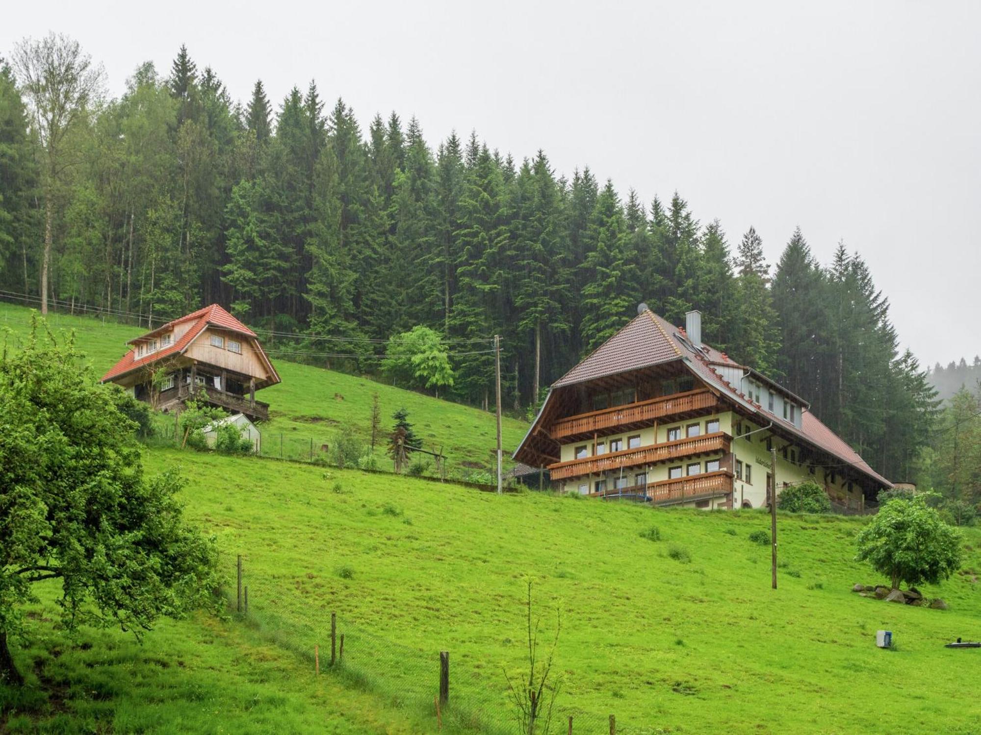 Cosy Farmhouse Apartment At The Edge Of The Forest Mühlenbach Zewnętrze zdjęcie